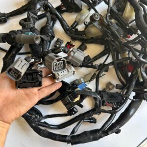 Faisceau Kawasaki Z900 Phase 2 2020-2024