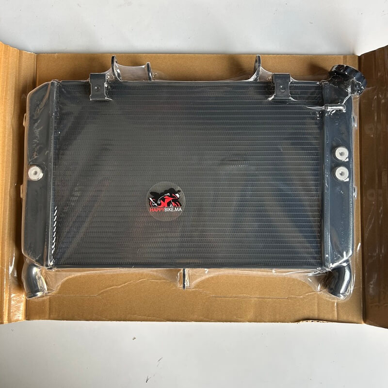Radiateur Yamaha MT-09 Phase 2 2018-2020 casablanca